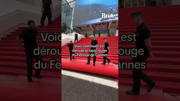 Comment est déroulé le tapis rouge du Festival de #Cannes2024