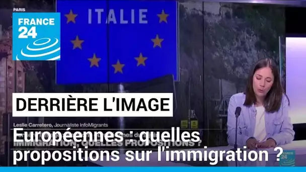 Européennes 2024 : quelles propositions sur l'immigration ? • FRANCE 24