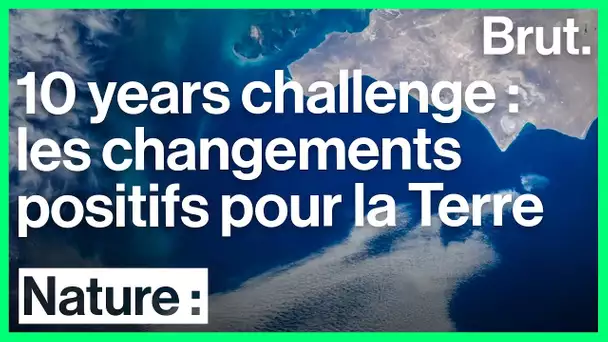 10 years challenge écologie : les changements positifs