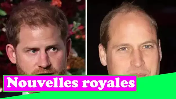 Le prince Harry devrait manquer le «lien» de longue date de la tradition de Noël avec William