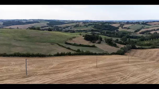 «C'est une catastrophe» : dans le Nord de la France, la sécheresse inquiète