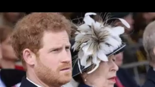 Coup dur pour le prince Harry en tant que princesse Anne pour remplacer Duke dans le rôle clé des Ro