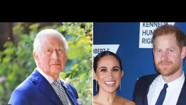 Le prince Harry et Meghan Markle cherchent à « rafistoler » leur situation. relation royale avant No