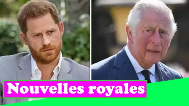 Le prince Harry doit accepter la « dure réalité » d'être une « non-entité » lorsque Charles est roi