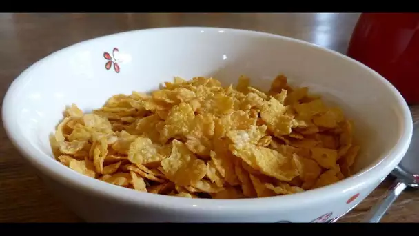 REDIFF - L'opération Corn Flakes