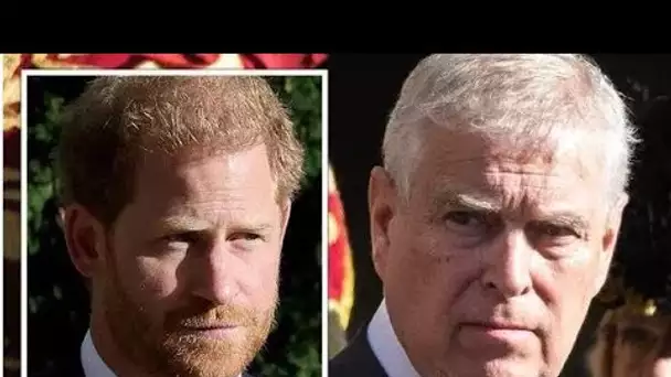 Harry et Andrew seront exclus du rôle de la famille royale alors que la nouvelle loi reçoit la sanct