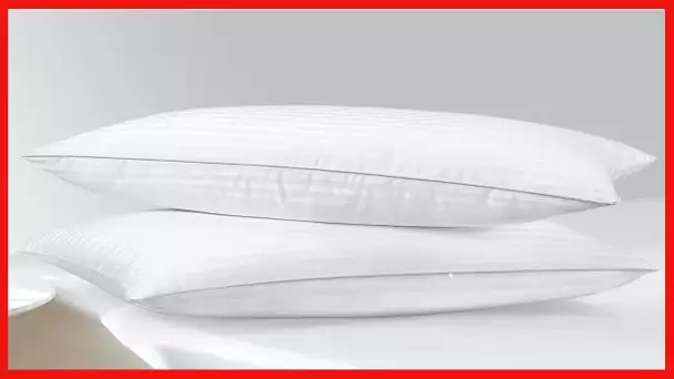 HOMELAB 2 Pack Standard Pillows for Sleeping - 100% Breathable Cotton, Soft Plush Down Alternative