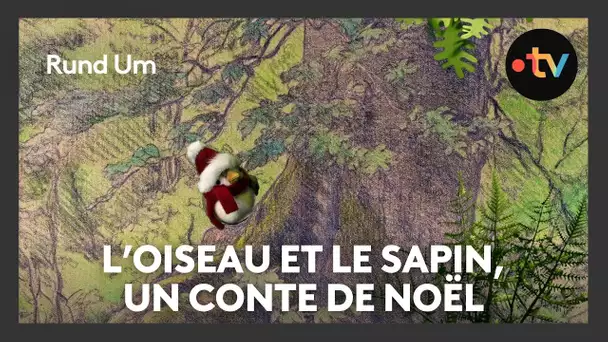 L'oiseau et le sapin, un conte de Noël