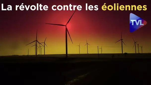 Focus exclusif : La révolte contre les éoliennes