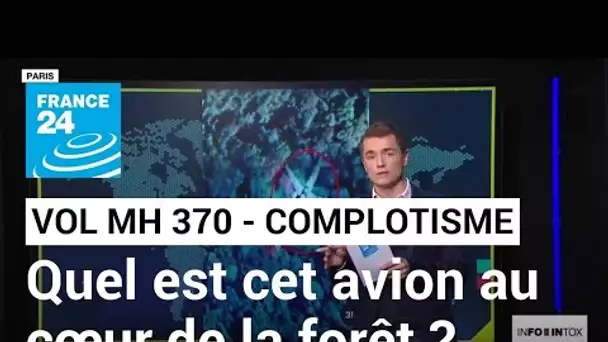 Le MH 370 fascine toujours autant les complotistes • FRANCE 24