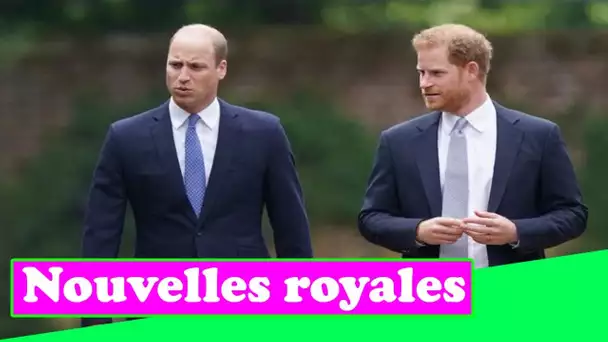 Le prince William et Harry peuvent réparer leur relation – mais ce ne sera pas le même, selon une en