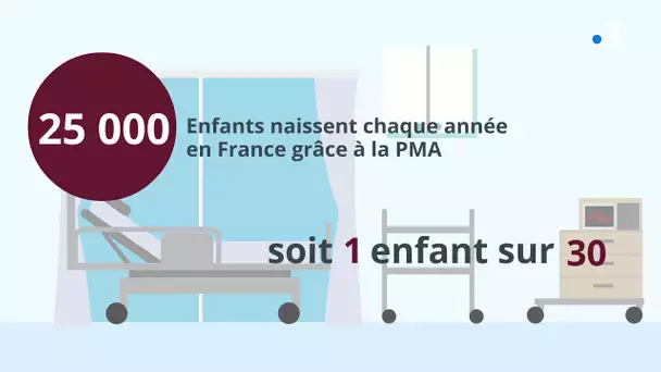 Pays de la Loire : les chiffres de la PMA