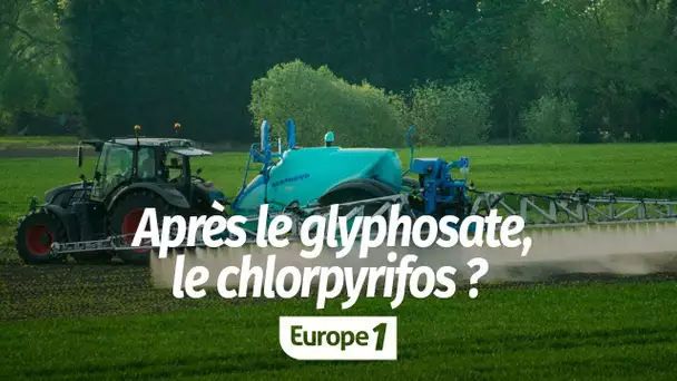 À la Une : après le glyphosate, le chlorpyrifos ?