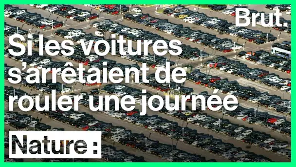 Si les voitures s&#039;arrêtaient de rouler pendant une journée…