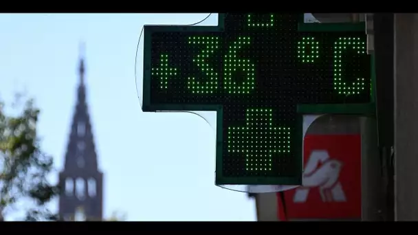 L'est de la France étouffe sous la troisième canicule de l'été