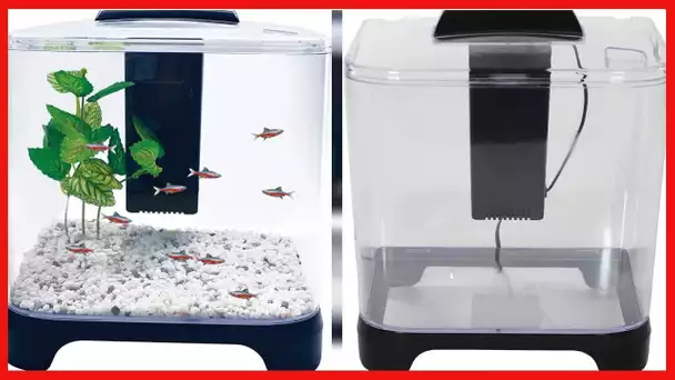 PENN-PLAX NuWave Betta Fish Tank Kit with LED Light and Internal Filter – Black – 1.5 Gallon