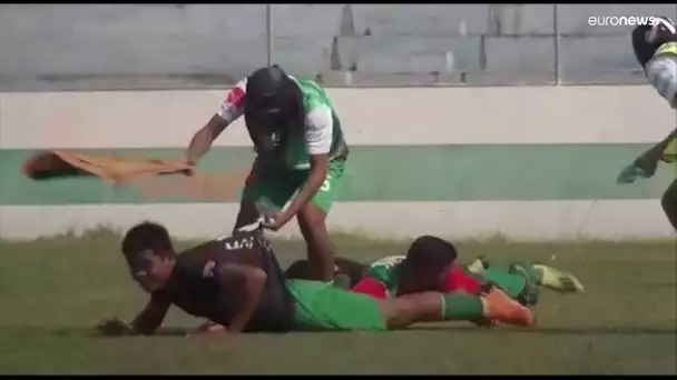 Bolivie : une attaque d'abeilles provoque une suspension de match