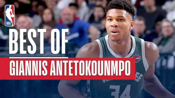 Giannis Antetokounmpo&#039;s February Highlights | KIA East Player of the Month