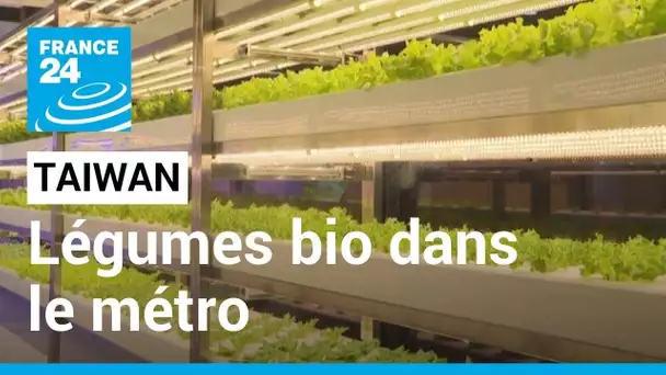 À Taïwan, des légumes bio poussent dans le métro • FRANCE 24