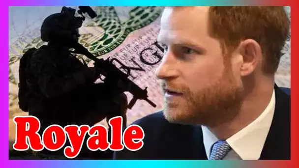 Harry se lance dans la politique brit@nnique alors que Duke lance un superbe plaidoyer pour un visa