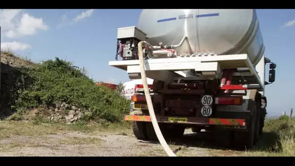 Pénurie d'eau potable à cause de la sécheresse : "une situation extrême"