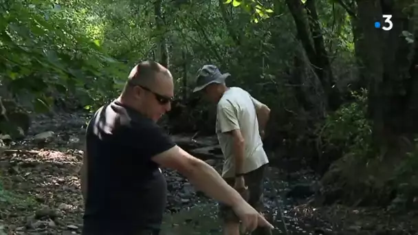 Rejets polluants dans rivière Brévenne (69)