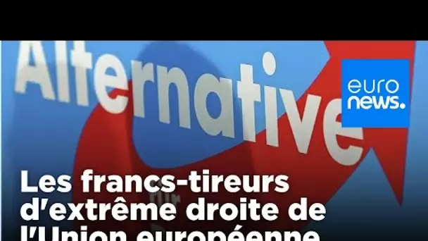 Super sondage : comment l'AfD allemande pourrait créer un nouveau groupe d'extrême droite au P…