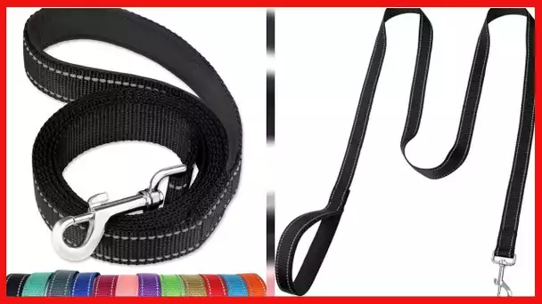 FunTags 6FT Reflective Dog Leash with Soft Padded Handle for Training,Walking Lead for Large