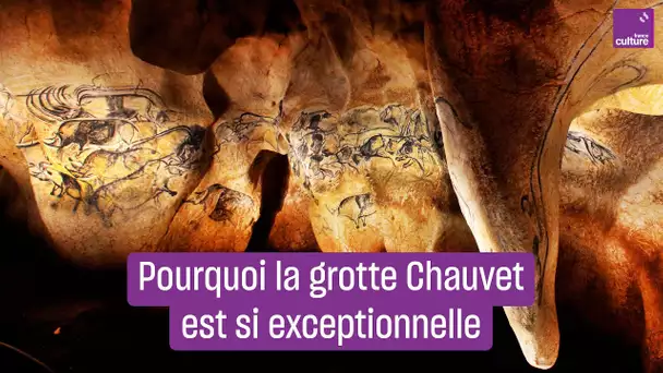 La grotte Chauvet, premier chef-d'œuvre de l'humanité