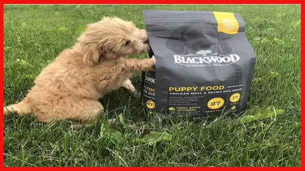 Blackwood Pet Food Puppy Dry Dog Food Growth Diet [Natural Dog Food For All Breeds and Sizes