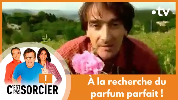 À la recherche du parfum parfait ! - C'est pas sorcier