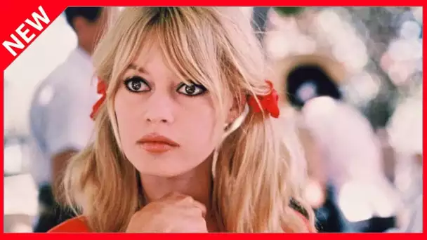 ✅  Brigitte Bardot : retour sur son histoire d’amour passionnelle avec Jean-Louis Trintignant