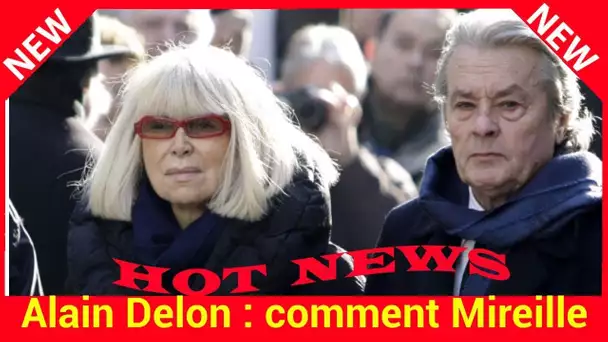 Alain Delon : comment Mireille Darc a été un précieux soutien pour lui