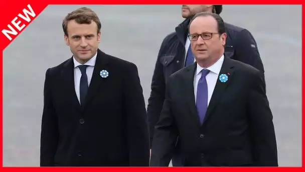 ✅  François Hollande cajole celui qui donne des suées à Emmanuel Macron