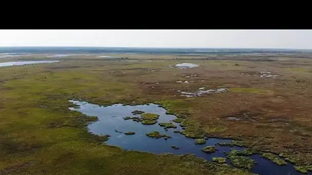 Comment la fonte du permafrost transforme la Sibérie et menace la planète