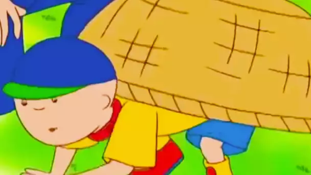 Caillou en français - Caillou  la Tortue | conte pour enfant | dessin anime | Caillou en Français