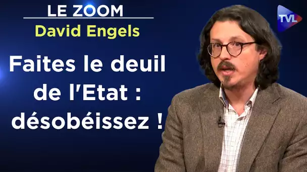 Grande réinitialisation : que faire ? - Le Zoom - David Engels - TVL