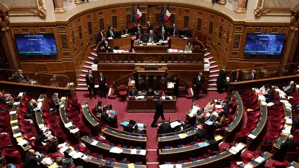 Réforme des retraites : au Sénat, les débats se poursuivent après l'adoption de l'article 7