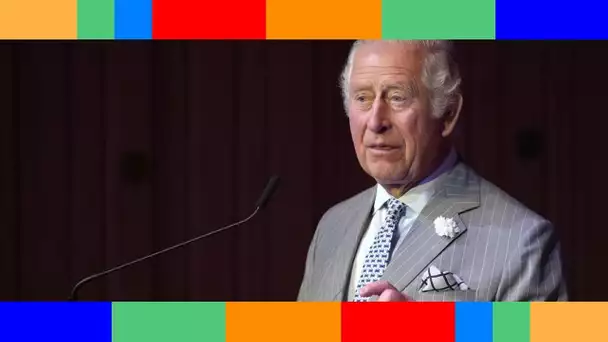 Prince Charles  cette contradiction grotesque dans son discours au parlement qui a du mal à passer