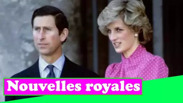 La séparation secrète de Diana et Charles a déclenché un effet corrosif parmi les aides