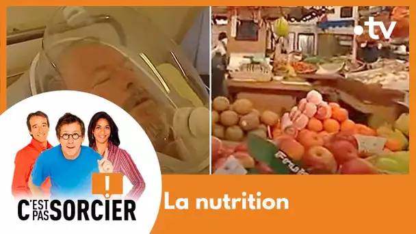 La nutrition - C'est pas sorcier [Intégrale]