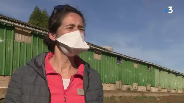 Des volailles à protéger en Haute-Vienne après un premier cas français de grippe aviaire