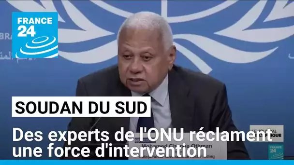 Soudan : des experts de l'ONU réclament une force d'intervention pour protéger les civils