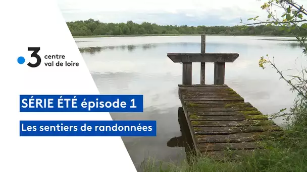 Sentiers de randonnée et patrimoine : la Sologne des étangs à Saint-Viâtre