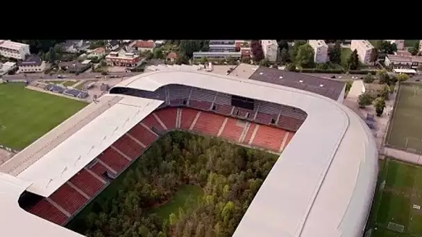 Insolite : une forêt dans un stade de foot