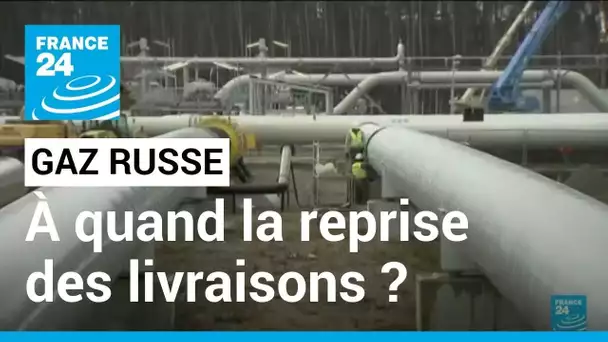 Gaz russe : quand les livraisons vers l'Europe reprendront-elles ? • FRANCE 24