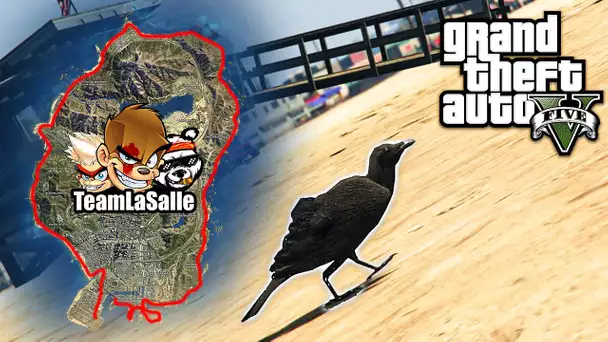 FAIRE LE TOUR DE LA MAP EN CORBEAU SUR GTA 5 (Live interactive)