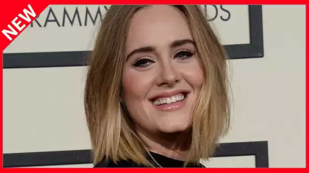 ✅  Adele : son divorce va lui coûter cher