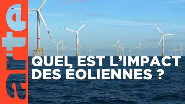 Les éoliennes en mer, quelle cohabitation avec la nature ? | ARTE