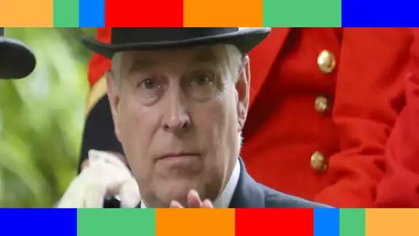 👑  Prince Andrew : nouvelle et difficile humiliation le jour de son anniversaire